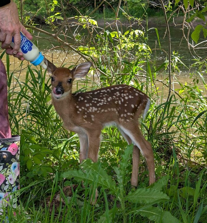 The Only Appropriate Reaction To These 115 Cute Baby Animal Pics Is “Aww” The Only Appropriate Reaction To These 115 Cute Baby Animal Pics Is “Aww”