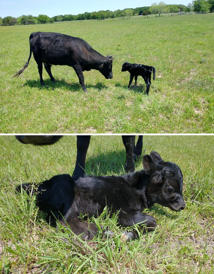 The Only Appropriate Reaction To These 115 Cute Baby Animal Pics Is “Aww” The Only Appropriate Reaction To These 115 Cute Baby Animal Pics Is “Aww”