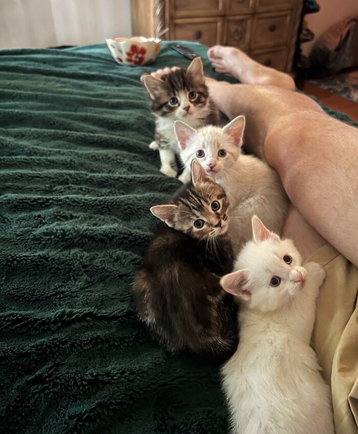 The Only Appropriate Reaction To These 115 Cute Baby Animal Pics Is “Aww” The Only Appropriate Reaction To These 115 Cute Baby Animal Pics Is “Aww”