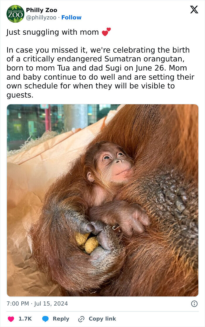 The Only Appropriate Reaction To These 115 Cute Baby Animal Pics Is “Aww” The Only Appropriate Reaction To These 115 Cute Baby Animal Pics Is “Aww”