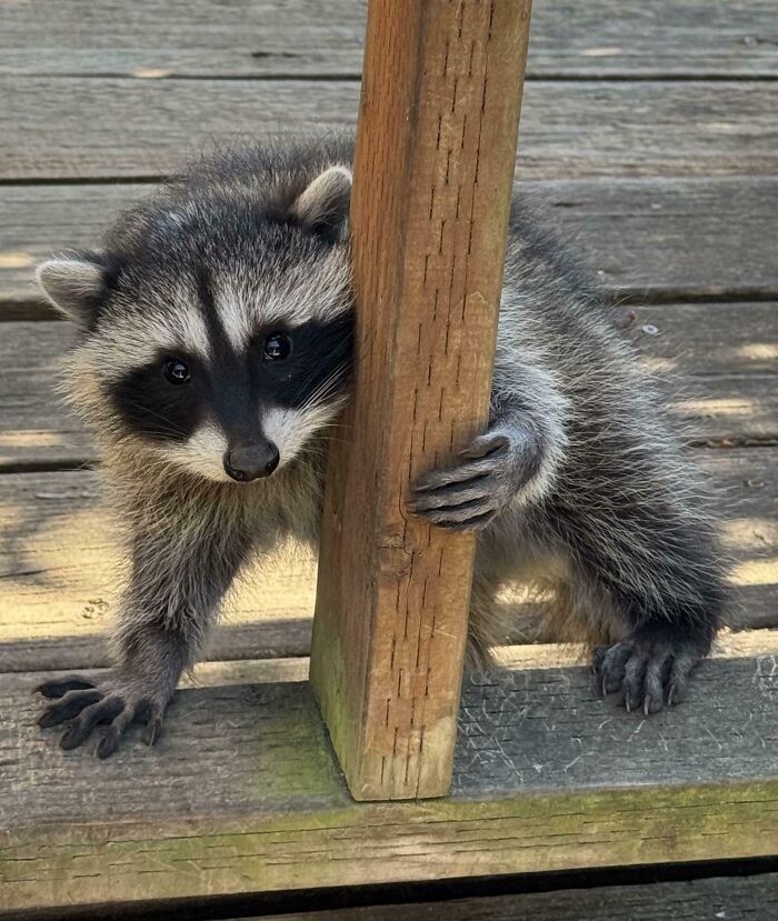 The Only Appropriate Reaction To These 115 Cute Baby Animal Pics Is “Aww” The Only Appropriate Reaction To These 115 Cute Baby Animal Pics Is “Aww”