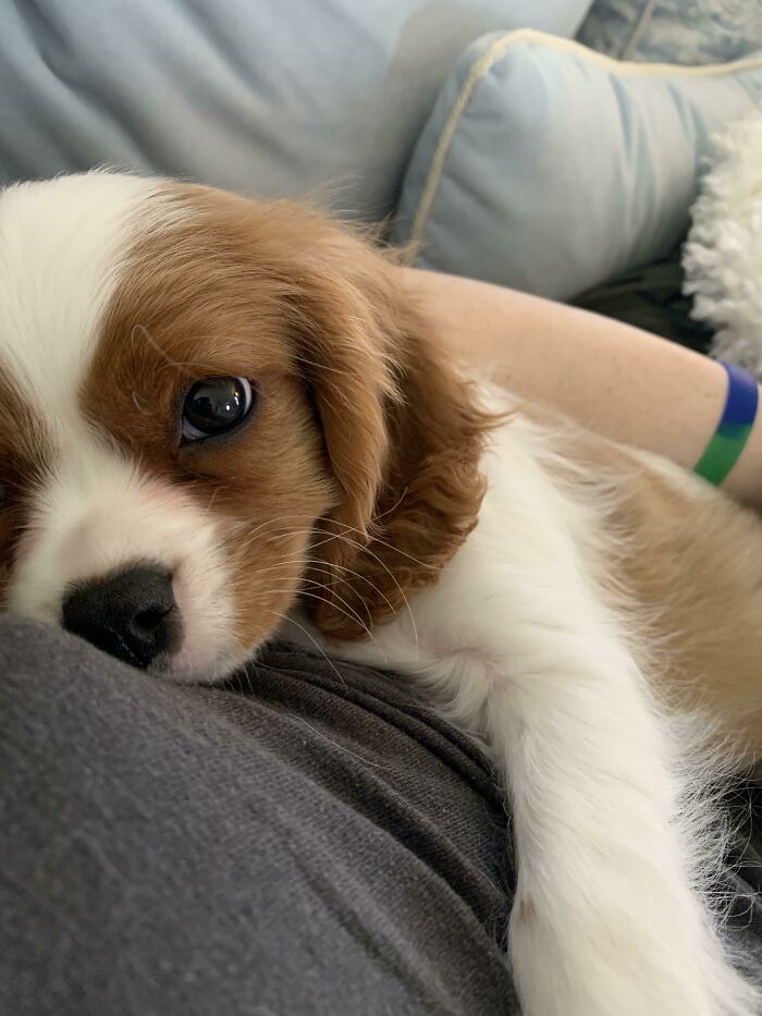 The Only Appropriate Reaction To These 115 Cute Baby Animal Pics Is “Aww” The Only Appropriate Reaction To These 115 Cute Baby Animal Pics Is “Aww”