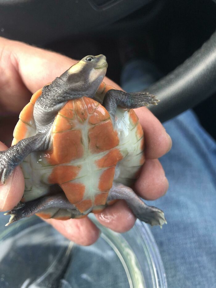 The Only Appropriate Reaction To These 115 Cute Baby Animal Pics Is “Aww” The Only Appropriate Reaction To These 115 Cute Baby Animal Pics Is “Aww”