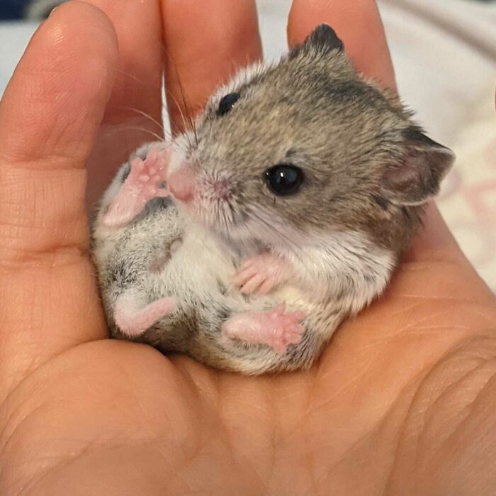 The Only Appropriate Reaction To These 115 Cute Baby Animal Pics Is “Aww” The Only Appropriate Reaction To These 115 Cute Baby Animal Pics Is “Aww”