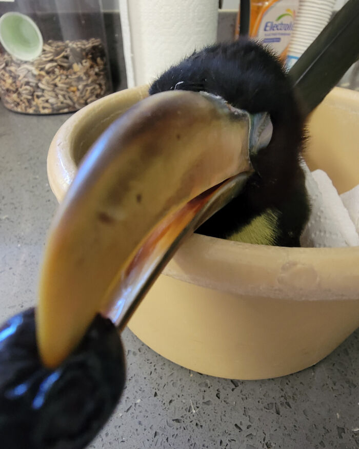 The Only Appropriate Reaction To These 115 Cute Baby Animal Pics Is “Aww” The Only Appropriate Reaction To These 115 Cute Baby Animal Pics Is “Aww”