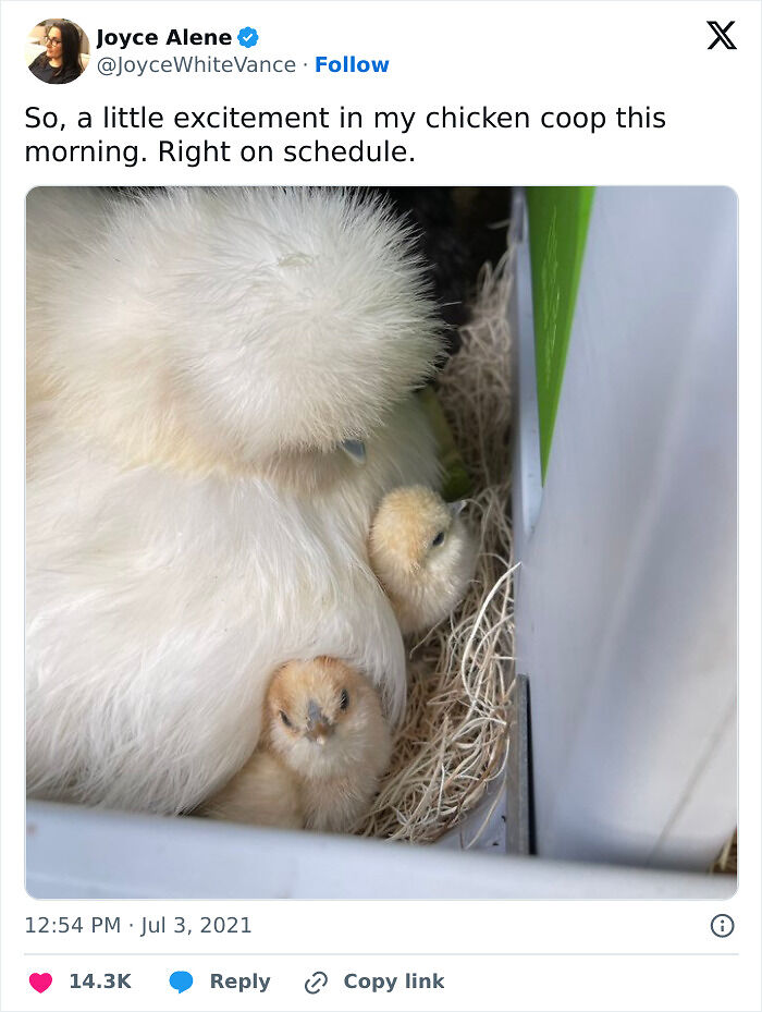 The Only Appropriate Reaction To These 115 Cute Baby Animal Pics Is “Aww” The Only Appropriate Reaction To These 115 Cute Baby Animal Pics Is “Aww”