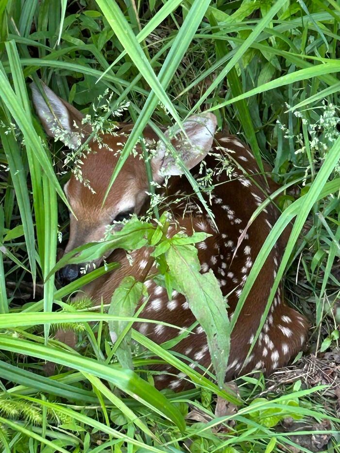 The Only Appropriate Reaction To These 115 Cute Baby Animal Pics Is “Aww” The Only Appropriate Reaction To These 115 Cute Baby Animal Pics Is “Aww”