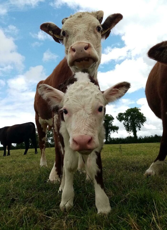 The Only Appropriate Reaction To These 115 Cute Baby Animal Pics Is “Aww” The Only Appropriate Reaction To These 115 Cute Baby Animal Pics Is “Aww”
