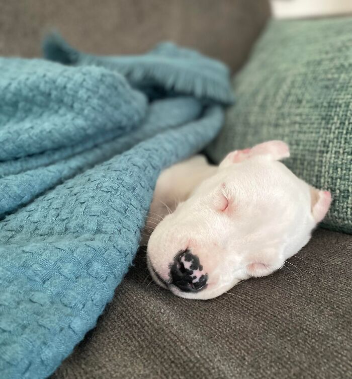 The Only Appropriate Reaction To These 115 Cute Baby Animal Pics Is “Aww” The Only Appropriate Reaction To These 115 Cute Baby Animal Pics Is “Aww”