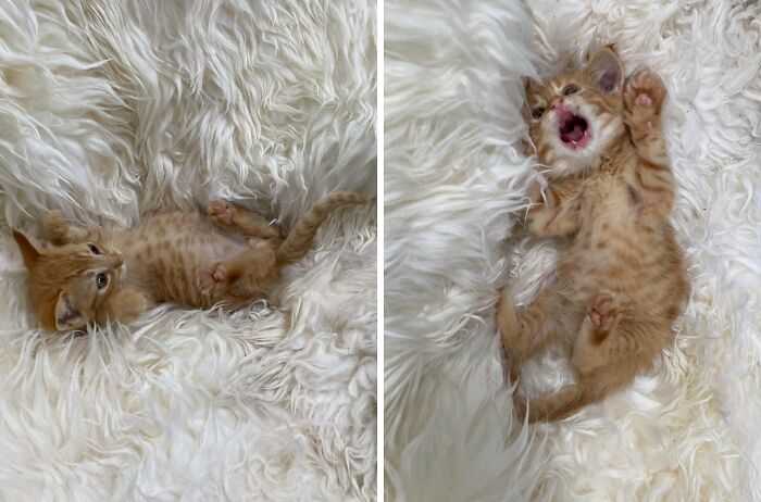 The Only Appropriate Reaction To These 115 Cute Baby Animal Pics Is “Aww” The Only Appropriate Reaction To These 115 Cute Baby Animal Pics Is “Aww”