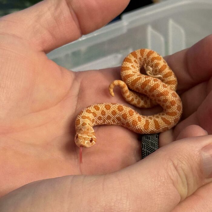 The Only Appropriate Reaction To These 115 Cute Baby Animal Pics Is “Aww” The Only Appropriate Reaction To These 115 Cute Baby Animal Pics Is “Aww”