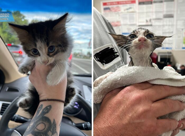 The Only Appropriate Reaction To These 115 Cute Baby Animal Pics Is “Aww” The Only Appropriate Reaction To These 115 Cute Baby Animal Pics Is “Aww”
