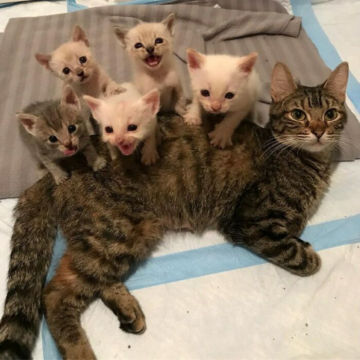 The Only Appropriate Reaction To These 115 Cute Baby Animal Pics Is “Aww” The Only Appropriate Reaction To These 115 Cute Baby Animal Pics Is “Aww”