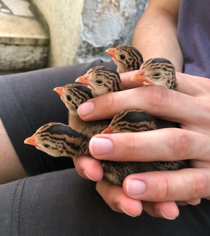 The Only Appropriate Reaction To These 115 Cute Baby Animal Pics Is “Aww” The Only Appropriate Reaction To These 115 Cute Baby Animal Pics Is “Aww”
