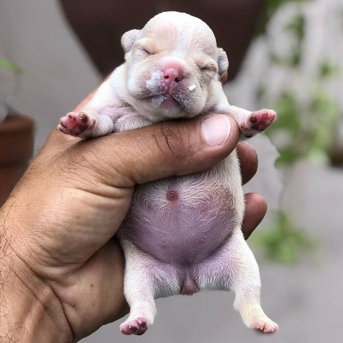 The Only Appropriate Reaction To These 115 Cute Baby Animal Pics Is “Aww” The Only Appropriate Reaction To These 115 Cute Baby Animal Pics Is “Aww”