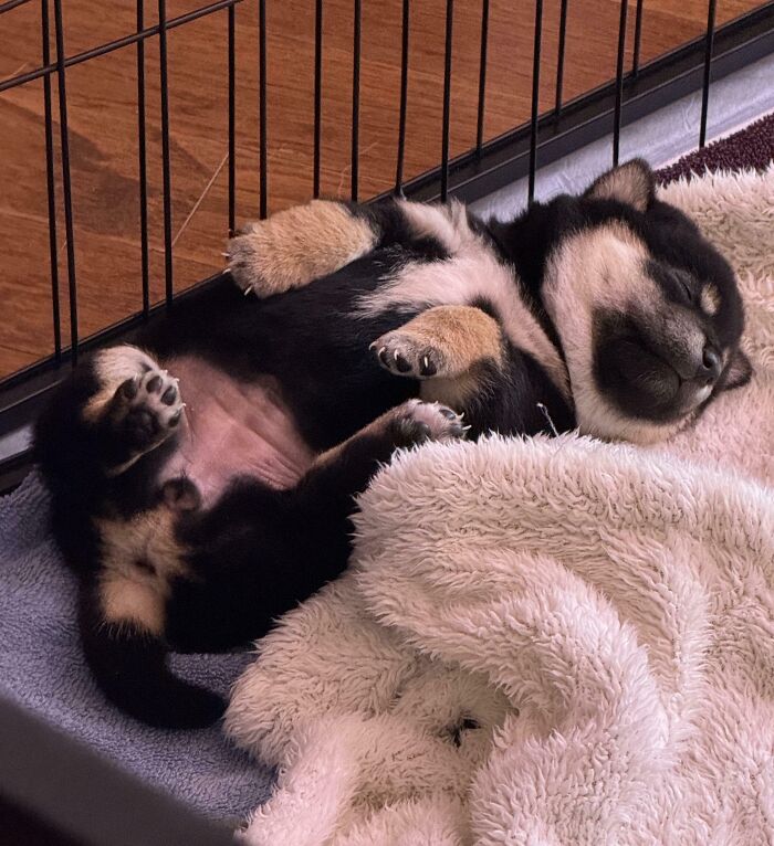 The Only Appropriate Reaction To These 115 Cute Baby Animal Pics Is “Aww” The Only Appropriate Reaction To These 115 Cute Baby Animal Pics Is “Aww”