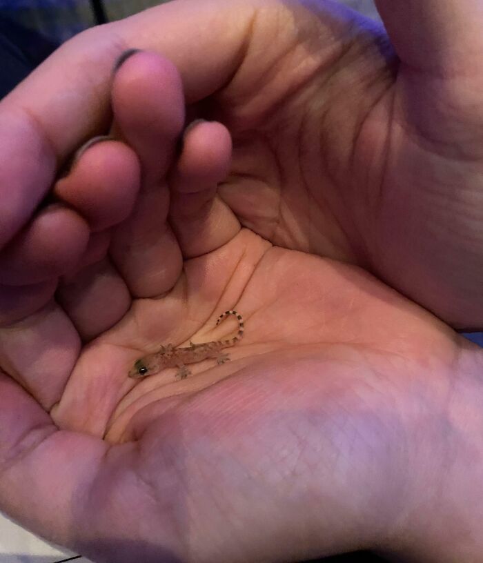 The Only Appropriate Reaction To These 115 Cute Baby Animal Pics Is “Aww” The Only Appropriate Reaction To These 115 Cute Baby Animal Pics Is “Aww”