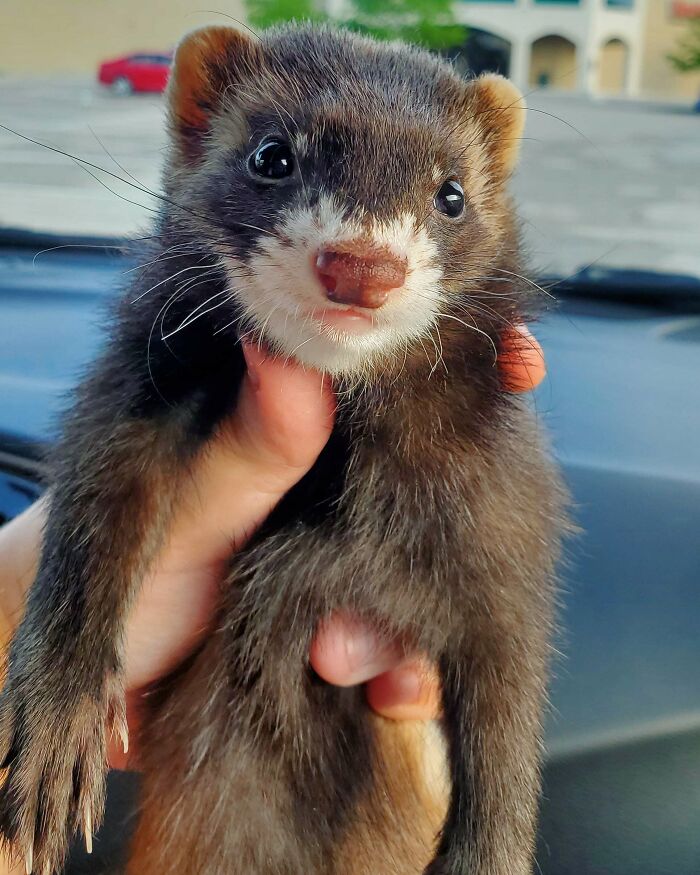 The Only Appropriate Reaction To These 115 Cute Baby Animal Pics Is “Aww” The Only Appropriate Reaction To These 115 Cute Baby Animal Pics Is “Aww”