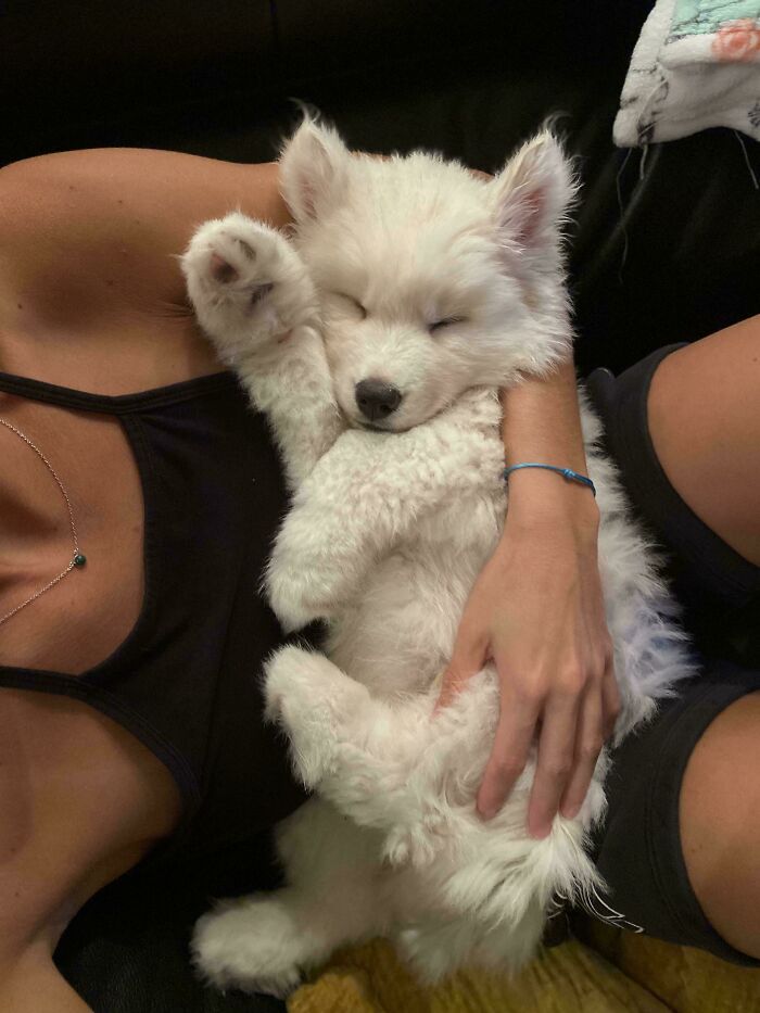 The Only Appropriate Reaction To These 115 Cute Baby Animal Pics Is “Aww” The Only Appropriate Reaction To These 115 Cute Baby Animal Pics Is “Aww”