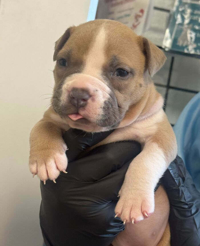 The Only Appropriate Reaction To These 115 Cute Baby Animal Pics Is “Aww” The Only Appropriate Reaction To These 115 Cute Baby Animal Pics Is “Aww”