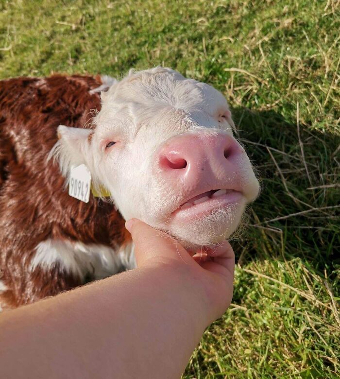 The Only Appropriate Reaction To These 115 Cute Baby Animal Pics Is “Aww” The Only Appropriate Reaction To These 115 Cute Baby Animal Pics Is “Aww”