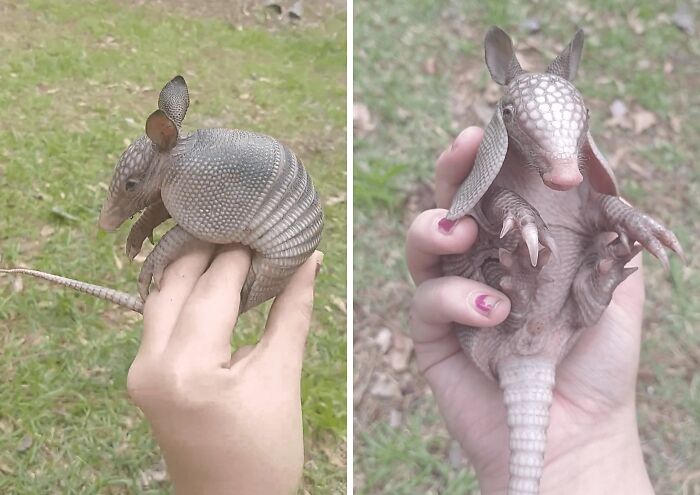 The Only Appropriate Reaction To These 115 Cute Baby Animal Pics Is “Aww” The Only Appropriate Reaction To These 115 Cute Baby Animal Pics Is “Aww”