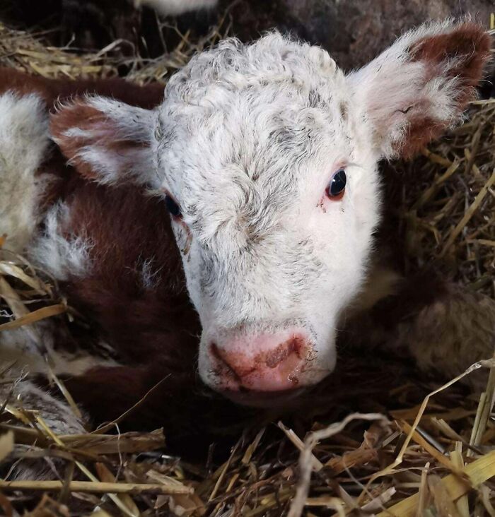 The Only Appropriate Reaction To These 115 Cute Baby Animal Pics Is “Aww” The Only Appropriate Reaction To These 115 Cute Baby Animal Pics Is “Aww”