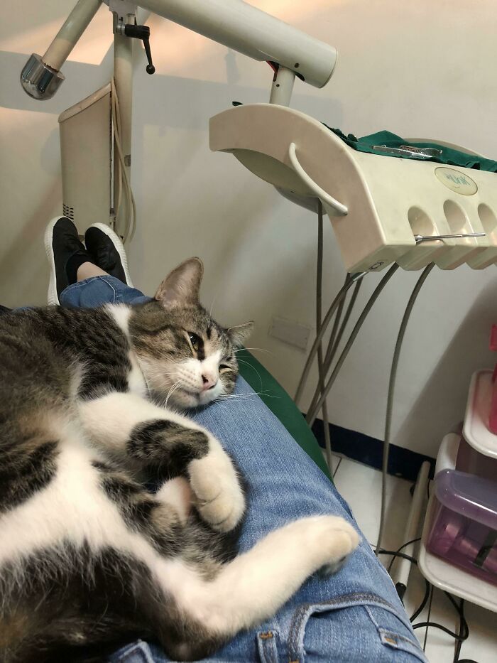 63 Hilarious And Wholesome Things Doctors Did To Put Their Patients At Ease (New Pics) 63 Hilarious And Wholesome Things Doctors Did To Put Their Patients At Ease (New Pics)