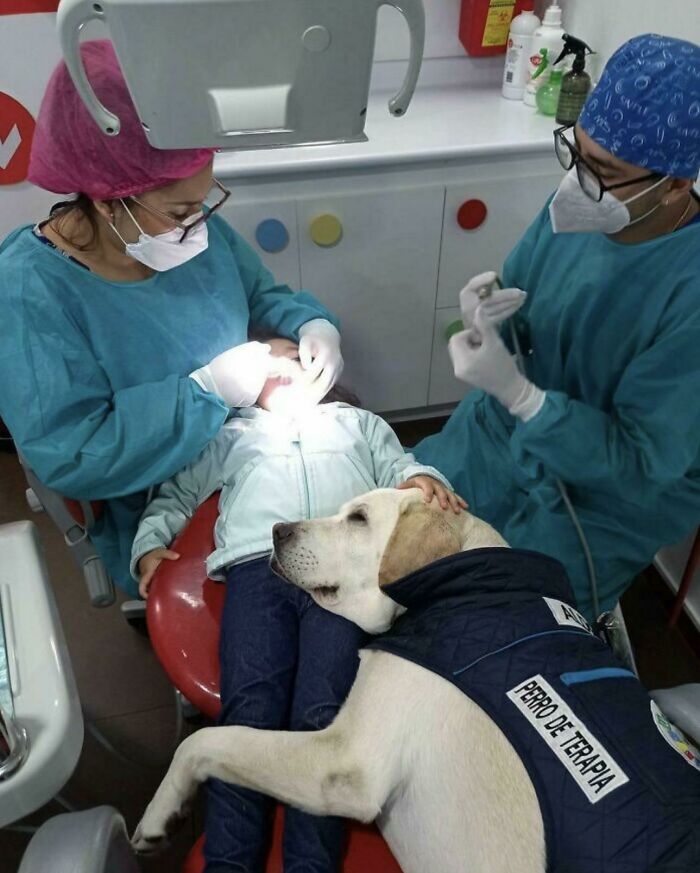63 Hilarious And Wholesome Things Doctors Did To Put Their Patients At Ease (New Pics) 63 Hilarious And Wholesome Things Doctors Did To Put Their Patients At Ease (New Pics)