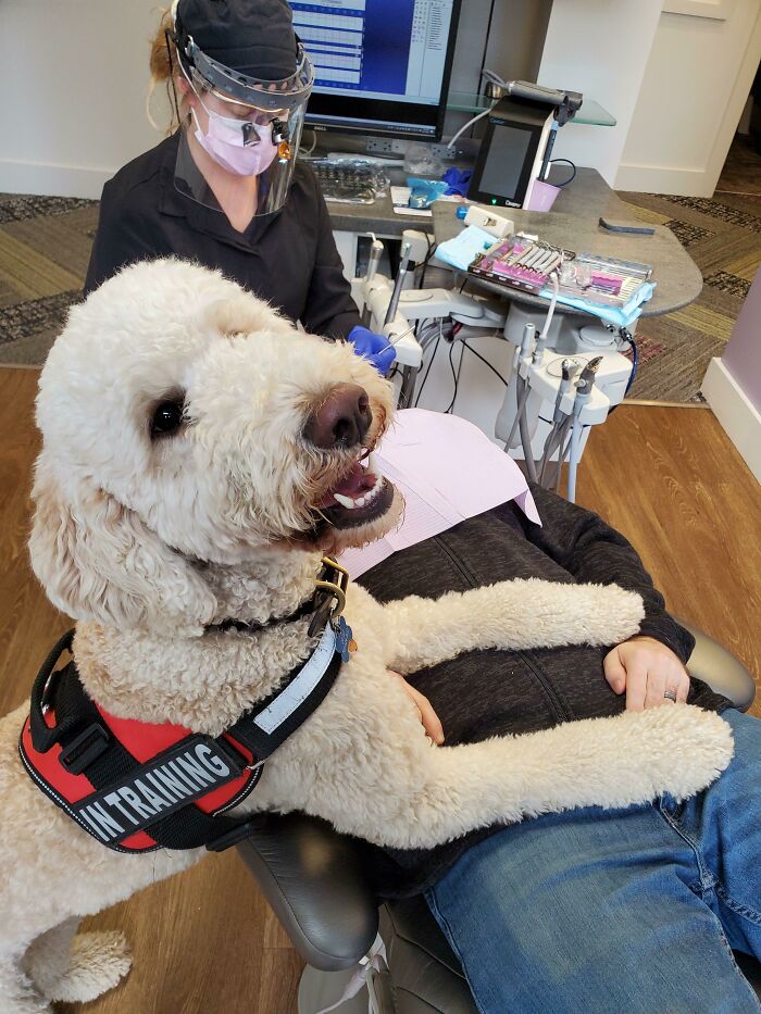 63 Hilarious And Wholesome Things Doctors Did To Put Their Patients At Ease (New Pics) 63 Hilarious And Wholesome Things Doctors Did To Put Their Patients At Ease (New Pics)