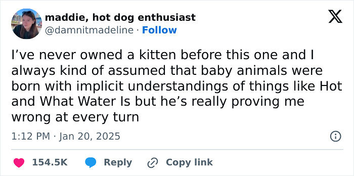 90 Hilarious Tweets People Couldn’t Help But Share 90 Hilarious Tweets People Couldn’t Help But Share