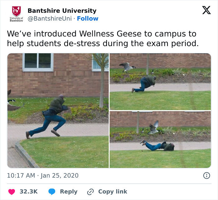 90 Hilarious Tweets People Couldn’t Help But Share 90 Hilarious Tweets People Couldn’t Help But Share