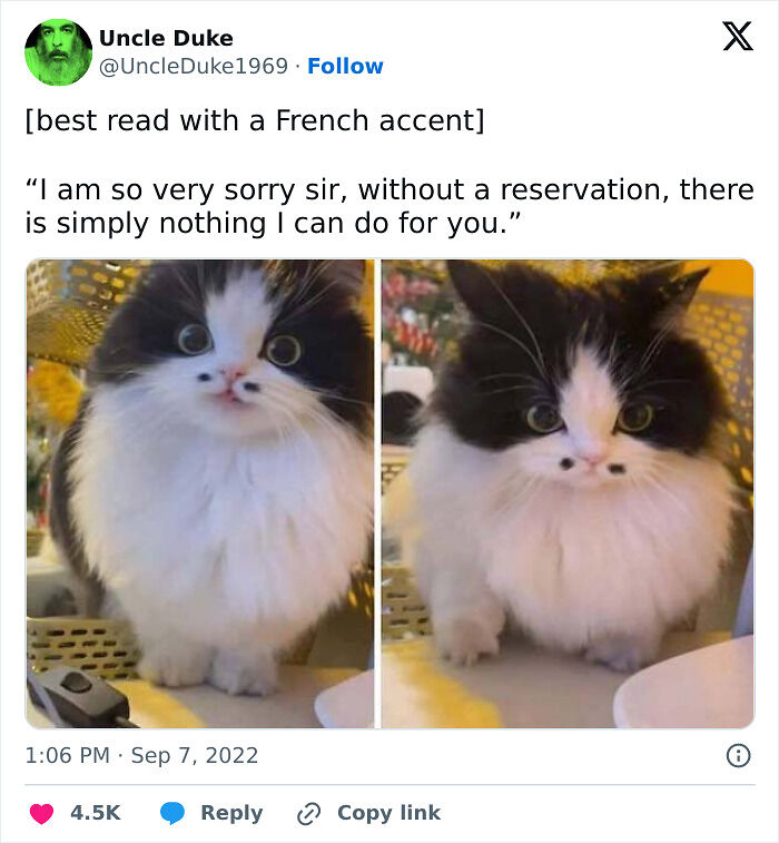 90 Hilarious Tweets People Couldn’t Help But Share 90 Hilarious Tweets People Couldn’t Help But Share
