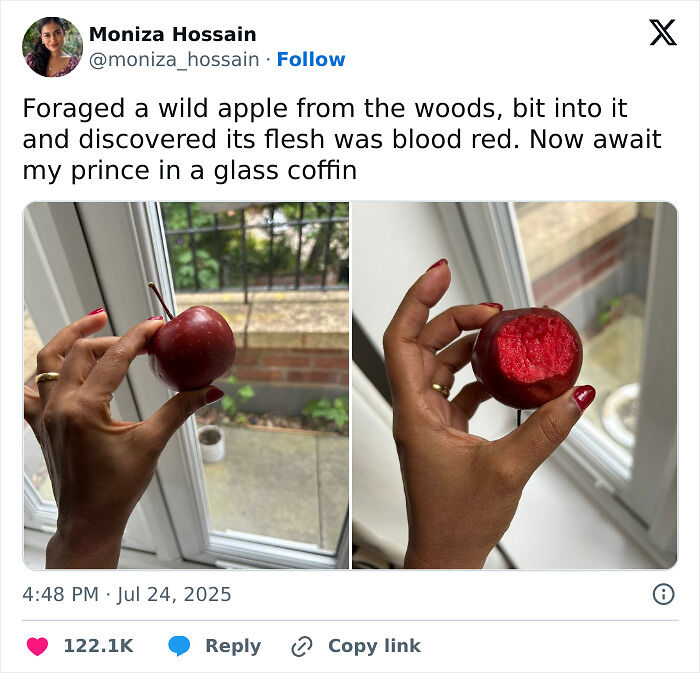 90 Hilarious Tweets People Couldn’t Help But Share 90 Hilarious Tweets People Couldn’t Help But Share