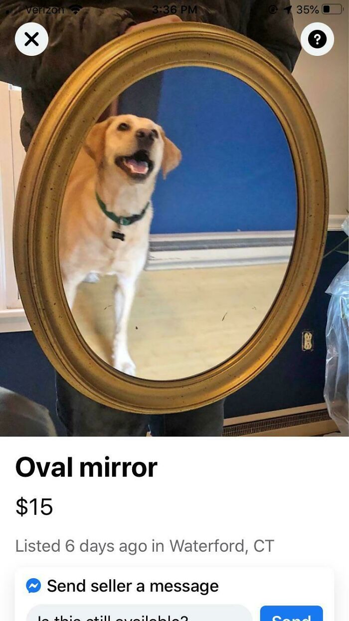 82 Hilarious Times People Tried To Sell A Mirror, But It Was Really The Reflection That Sold It (New Pics) 82 Hilarious Times People Tried To Sell A Mirror, But It Was Really The Reflection That Sold It (New Pics)