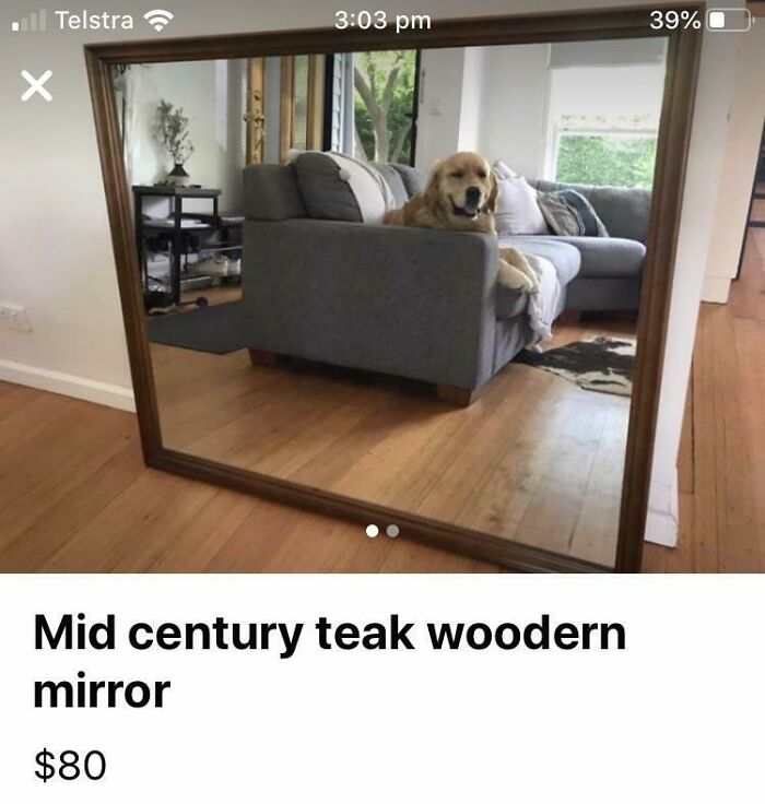 82 Hilarious Times People Tried To Sell A Mirror, But It Was Really The Reflection That Sold It (New Pics) 82 Hilarious Times People Tried To Sell A Mirror, But It Was Really The Reflection That Sold It (New Pics)