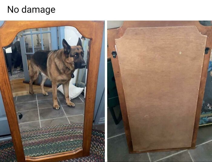 82 Hilarious Times People Tried To Sell A Mirror, But It Was Really The Reflection That Sold It (New Pics) 82 Hilarious Times People Tried To Sell A Mirror, But It Was Really The Reflection That Sold It (New Pics)