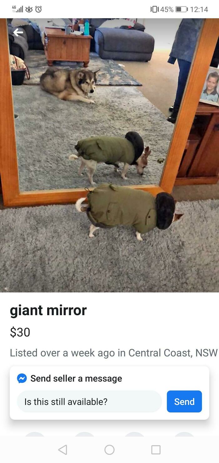 82 Hilarious Times People Tried To Sell A Mirror, But It Was Really The Reflection That Sold It (New Pics) 82 Hilarious Times People Tried To Sell A Mirror, But It Was Really The Reflection That Sold It (New Pics)