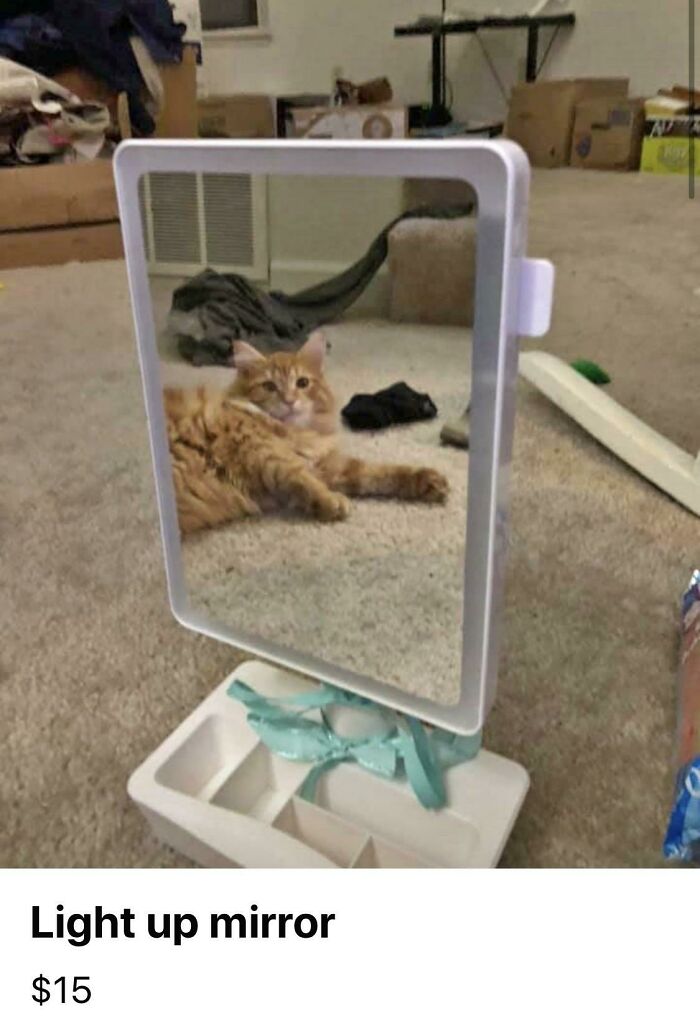 82 Hilarious Times People Tried To Sell A Mirror, But It Was Really The Reflection That Sold It (New Pics) 82 Hilarious Times People Tried To Sell A Mirror, But It Was Really The Reflection That Sold It (New Pics)