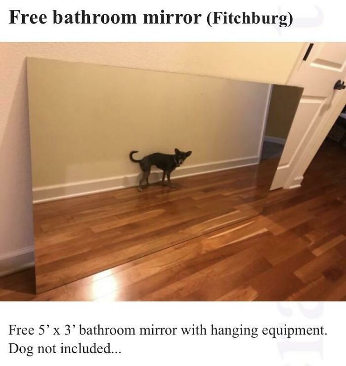 82 Hilarious Times People Tried To Sell A Mirror, But It Was Really The Reflection That Sold It (New Pics) 82 Hilarious Times People Tried To Sell A Mirror, But It Was Really The Reflection That Sold It (New Pics)