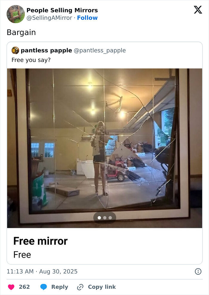 82 Hilarious Times People Tried To Sell A Mirror, But It Was Really The Reflection That Sold It (New Pics) 82 Hilarious Times People Tried To Sell A Mirror, But It Was Really The Reflection That Sold It (New Pics)