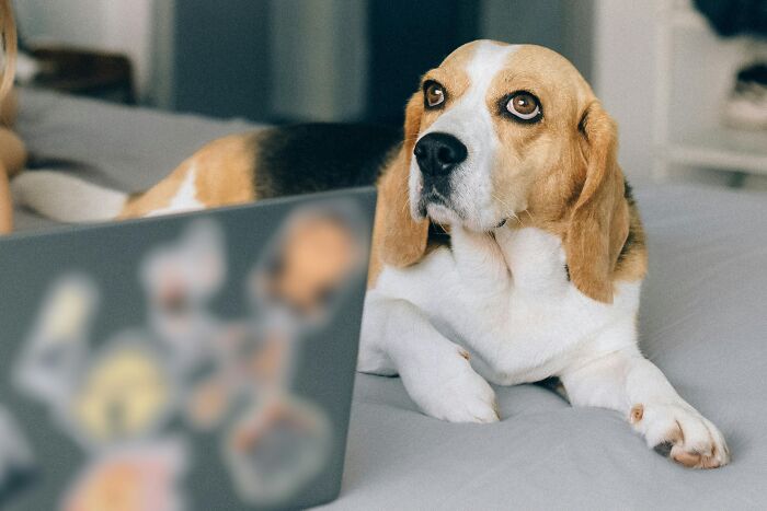 43 Times Workplace Rules Were So Over-The-Top They Just Annoyed Everyone 43 Times Workplace Rules Were So Over-The-Top They Just Annoyed Everyone