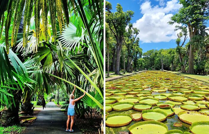 48 Heavenly Photos Of Famous Gardens 48 Heavenly Photos Of Famous Gardens