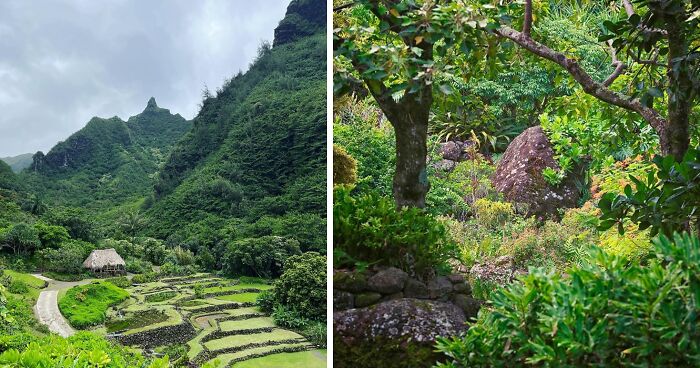 48 Heavenly Photos Of Famous Gardens 48 Heavenly Photos Of Famous Gardens