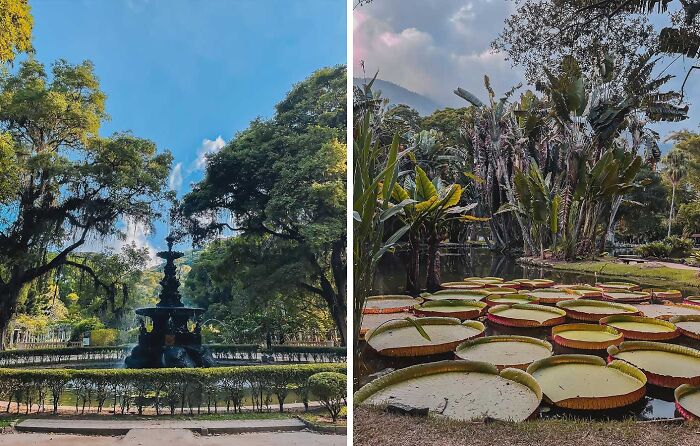 48 Heavenly Photos Of Famous Gardens 48 Heavenly Photos Of Famous Gardens