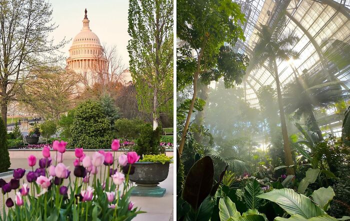 48 Heavenly Photos Of Famous Gardens 48 Heavenly Photos Of Famous Gardens
