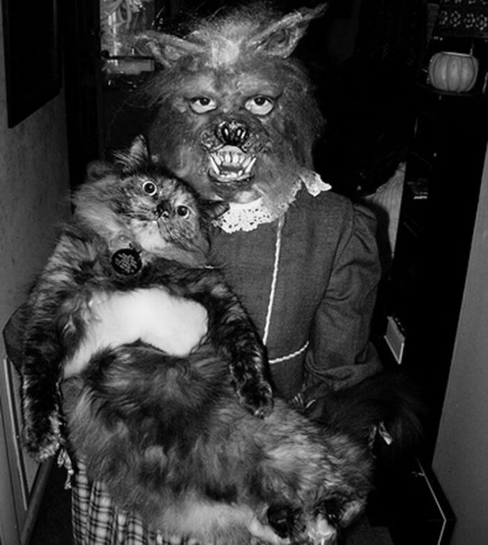 50 Halloween Costumes From The Past That Are Equal Parts Terrifying And Impressive 50 Halloween Costumes From The Past That Are Equal Parts Terrifying And Impressive