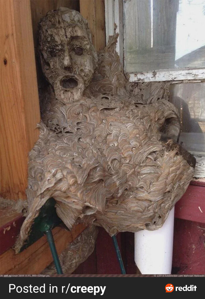 “Some Things Just Cannot Be Explained”: 80 Pics From This Interesting Group “Some Things Just Cannot Be Explained”: 80 Pics From This Interesting Group