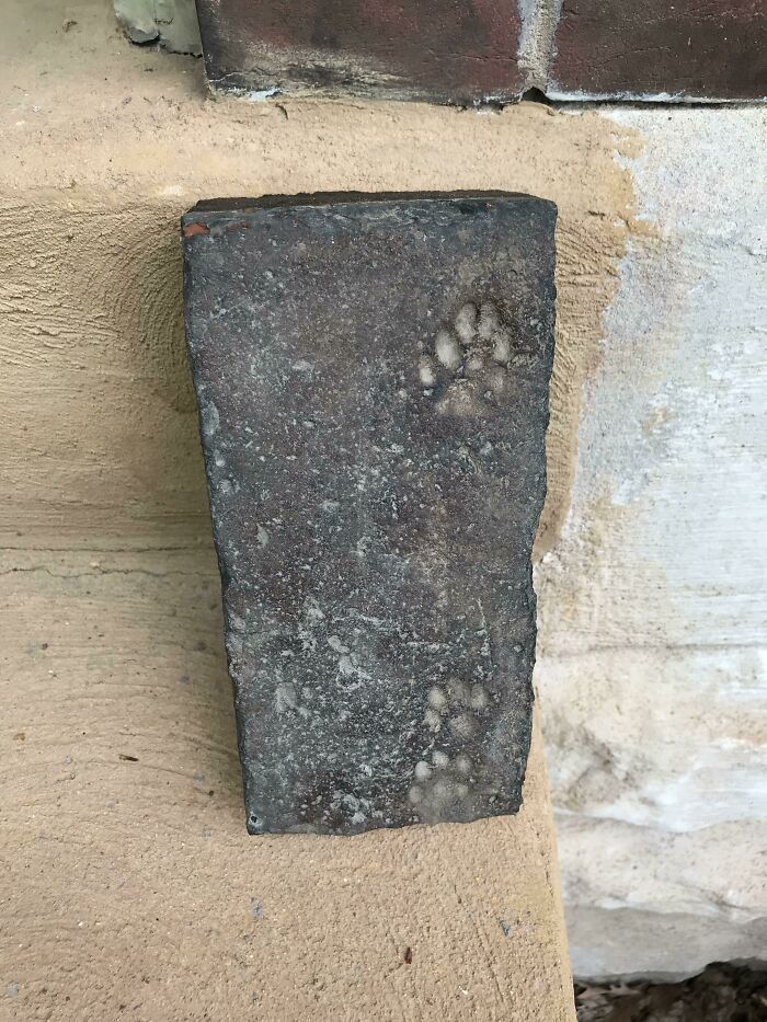 50 Photos Of Cool Things People Have Found Buried, Hidden, And Forgotten In Old Houses 50 Photos Of Cool Things People Have Found Buried, Hidden, And Forgotten In Old Houses