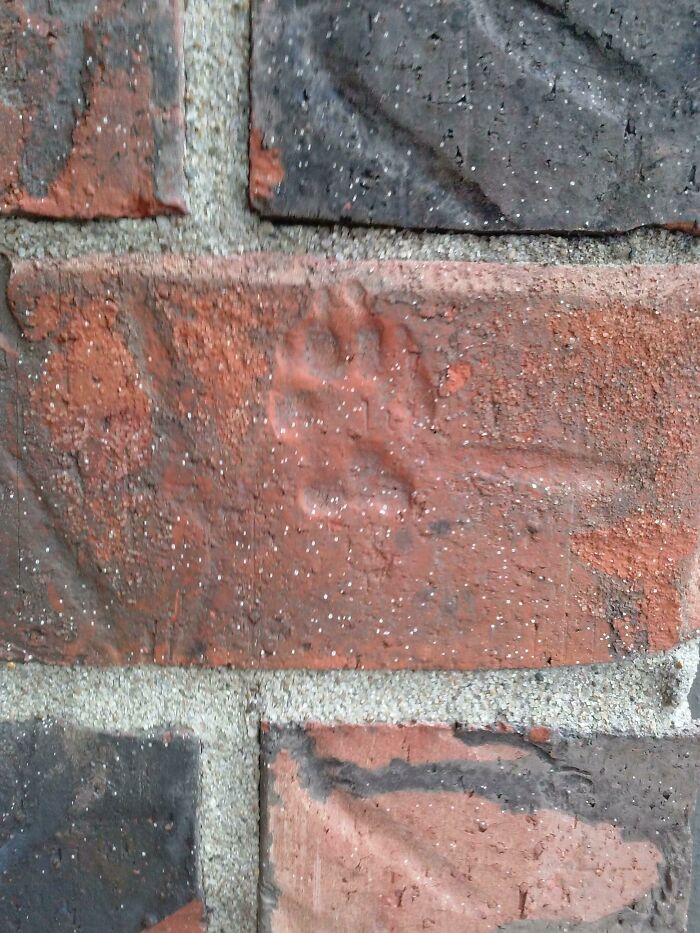 50 Photos Of Cool Things People Have Found Buried, Hidden, And Forgotten In Old Houses 50 Photos Of Cool Things People Have Found Buried, Hidden, And Forgotten In Old Houses